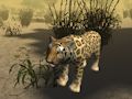 จำลองการล่าสัตว์เสือชีตาห์แอฟริกัน  เกมออนไลน์