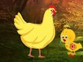 ดึงลูกไก่ที่ได้รับบาดเจ็บ  เกมออนไลน์