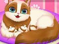คิตตี้น่ารักตั้งครรภ์  เกมออนไลน์