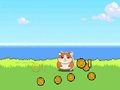 หนูแฮมสเตอร์ คอมแบท คลิกเกอร์  เกมออนไลน์