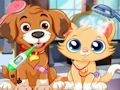 การดูแลสัตว์เลี้ยงลูกสุนัข  เกมออนไลน์