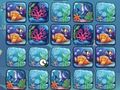 ความท้าทายสีแนวปะการัง  เกมออนไลน์