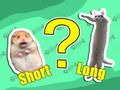แบบทดสอบสำหรับเด็ก: สั้นที่สุดและยาวที่สุด  เกมออนไลน์