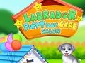 ร้านรับเลี้ยงเด็กลูกสุนัขลาบราดอร์  เกมออนไลน์
