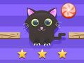 ความท้าทายของแมว  เกมออนไลน์