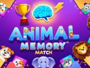 การจับคู่ความทรงจำของสัตว์  เกมออนไลน์