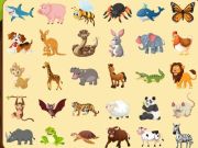 ค้นพบสัตว์  เกมออนไลน์