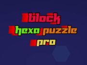 บล็อก PRO PUZZLE  เกมออนไลน์