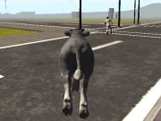 Crazy Bull City  เกมออนไลน์