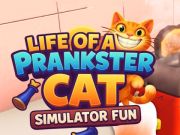 การจำลองแมวเล่นพิเรนสเตอร์  เกมออนไลน์