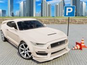 เครื่องจำลองรถยนต์ 3D  เกมออนไลน์