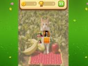 การจับคู่หน่วยความจำแมวฟาร์ม เกมออนไลน์