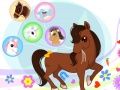 ม้าในเมือง  เกมออนไลน์