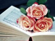 Book of Blooms Jigsaw เกมออนไลน์