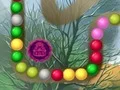 Lost Island เกมออนไลน์