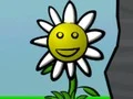 Flower Power เกมออนไลน์