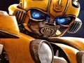 Bumblebee Hidden Spots เกมออนไลน์
