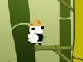 Panda Jump เกมออนไลน์
