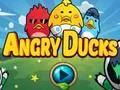 Angry Ducks เกมออนไลน์