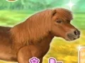 My Dear Pony เกมออนไลน์