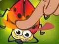Insect Cush เกมออนไลน์