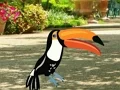 Find Woodpecker Pair เกมออนไลน์