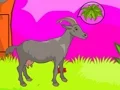 Wolf Escape เกมออนไลน์