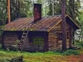 Assist The Barn Owl เกมออนไลน์
