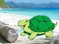 Beach Crab Pair Escape เกมออนไลน์
