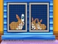 Find The Animal First Aid Kit เกมออนไลน์
