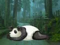 Wakeup The Sleeping Panda เกมออนไลน์