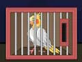 Release The Cockatiel Bird เกมออนไลน์