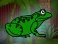 Rescue The Green Toad From Underground เกมออนไลน์