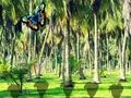 Rescue Tasmanian Tiger เกมออนไลน์