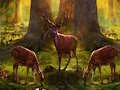Dangerous Hunter Animal Escape เกมออนไลน์