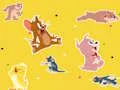 The Tom and Jerry Show Find it! เกมออนไลน์