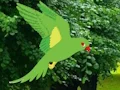 Parrot Find The Nest เกมออนไลน์