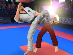 Karate Fighter เกมออนไลน์