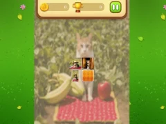 Farm Cat Memory Match เกมออนไลน์