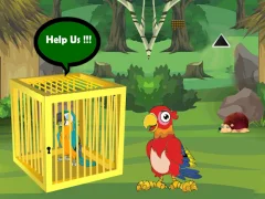 Release Trapped Macaw Buddy เกมออนไลน์