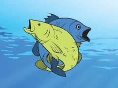 Friendly Fish Coloring เกมออนไลน์