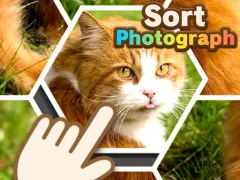 Sort Photograph เกมออนไลน์