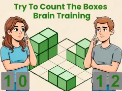 Try To Count The Boxes Brain Training เกมออนไลน์