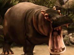 Wild Hippopotamus Hunting เกมออนไลน์