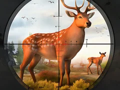 Wild Animal Hunting เกมออนไลน์