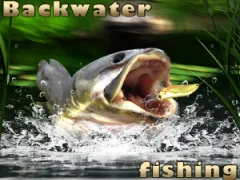 Backwater Fishing เกมออนไลน์