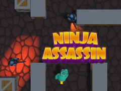 Ninja Assassin เกมออนไลน์