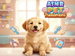 Asmr Pet Treatment เกมออนไลน์