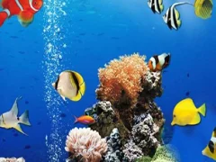 Sea Underwater Difference เกมออนไลน์