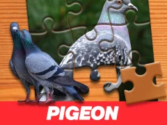 Pigeon Jigsaw Puzzle เกมออนไลน์
